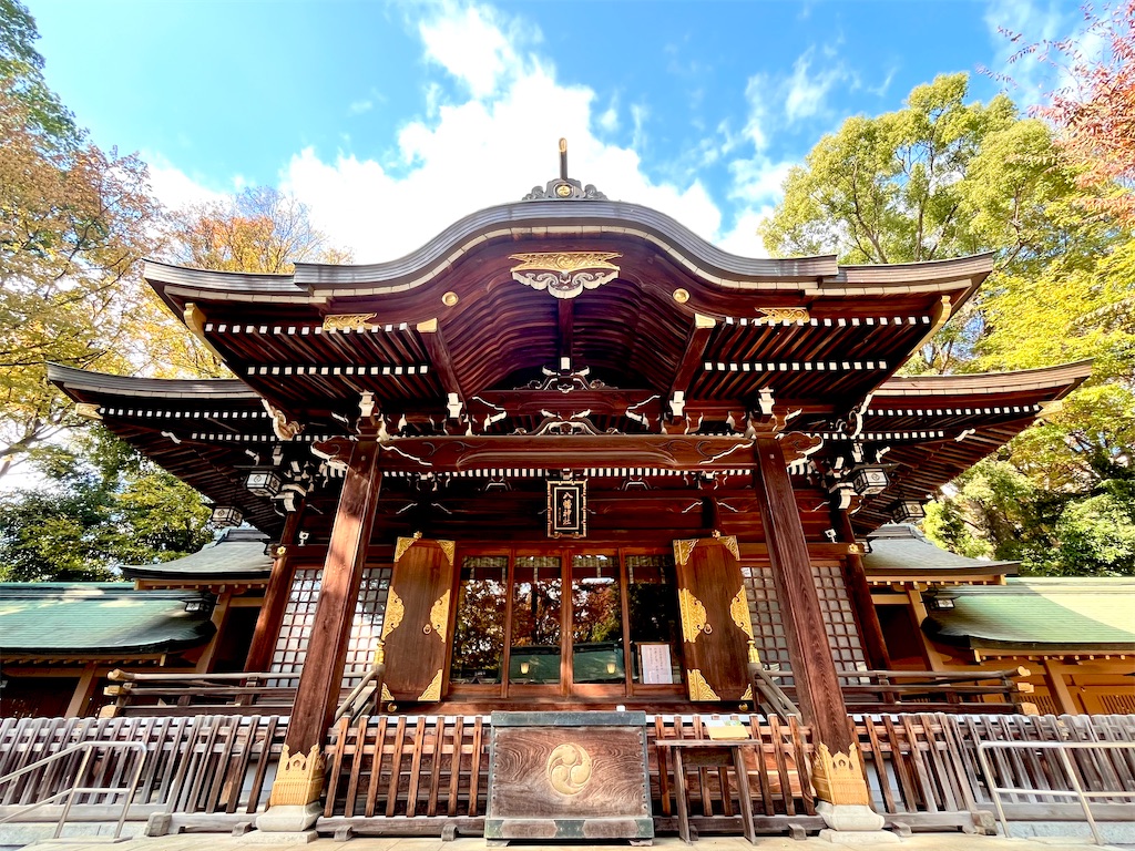 f:id:popohaumom:20251122185216j:image f:id:popohaumom:20251122185216j:image