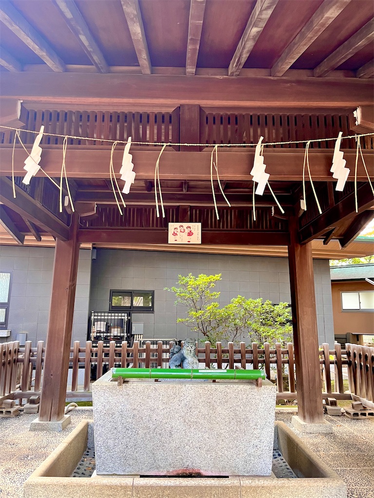 f:id:popohaumom:20251122185222j:image f:id:popohaumom:20251122185222j:image