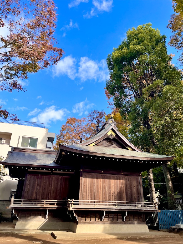 f:id:popohaumom:20251122185226j:image f:id:popohaumom:20251122185226j:image