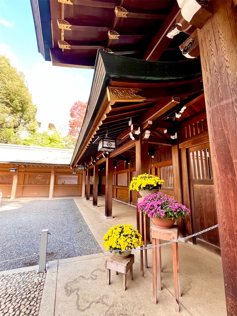 f:id:popohaumom:20251122185228j:image f:id:popohaumom:20251122185228j:image