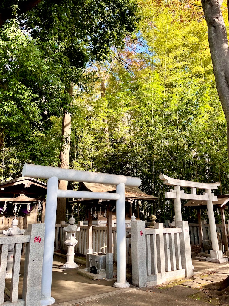 f:id:popohaumom:20251122185231j:image f:id:popohaumom:20251122185231j:image