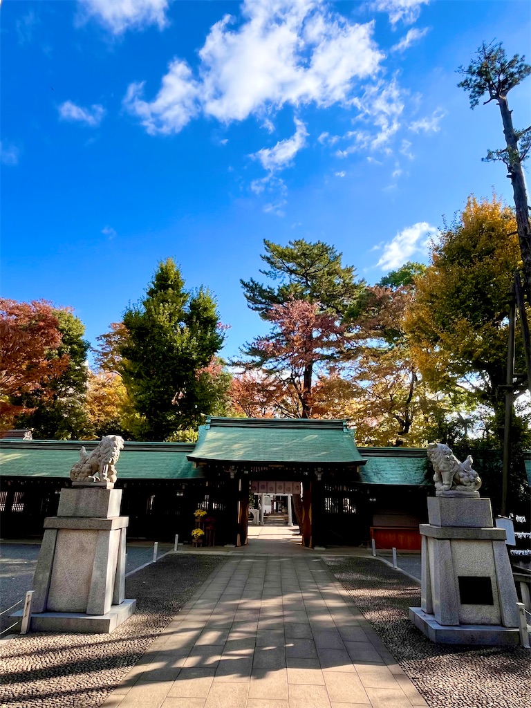 f:id:popohaumom:20251122185233j:image f:id:popohaumom:20251122185233j:image