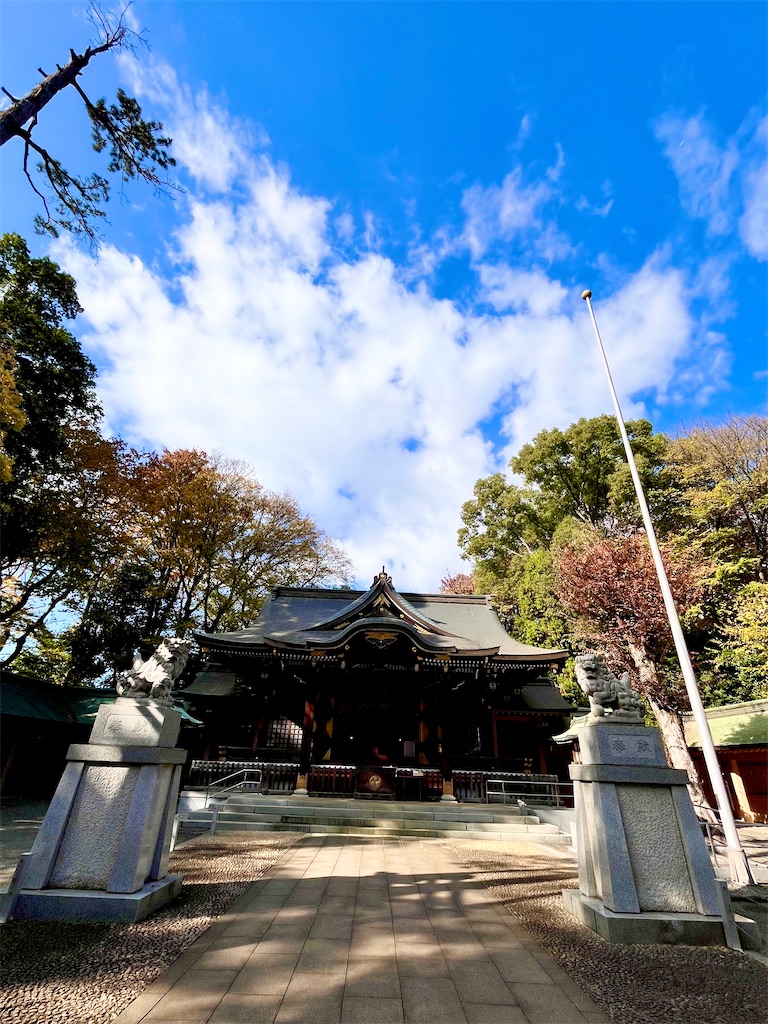 f:id:popohaumom:20251122185236j:image f:id:popohaumom:20251122185236j:image