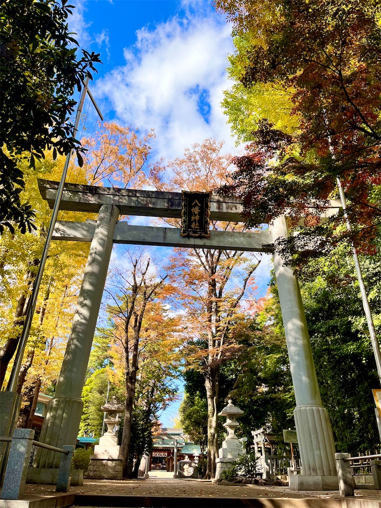 f:id:popohaumom:20251122185239j:image f:id:popohaumom:20251122185239j:image