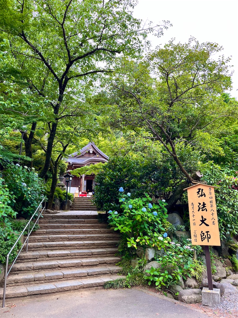 f:id:popohaumom:20260604193411j:image
