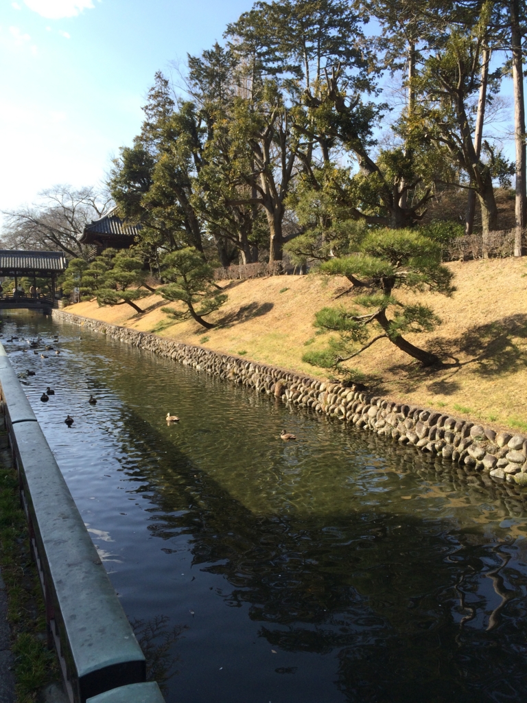 f:id:poponainai:20160218235352j:plain:w400