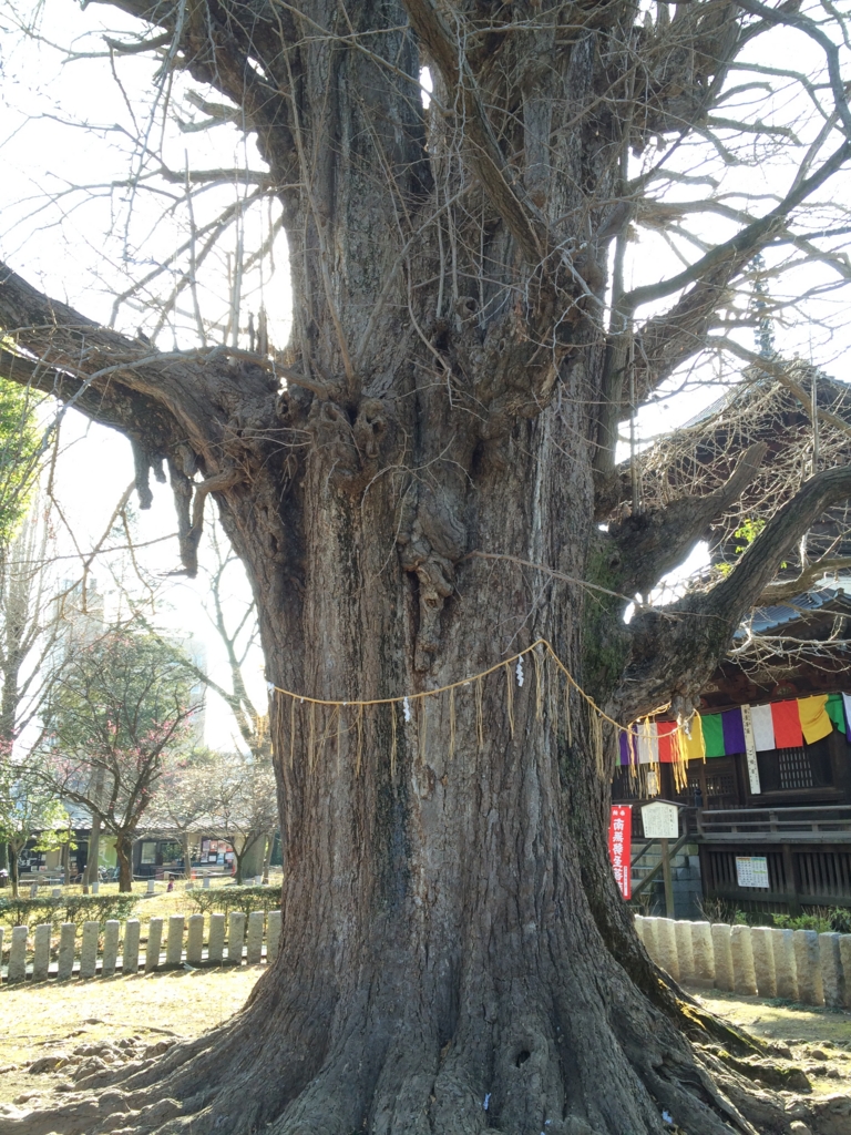 f:id:poponainai:20160218235743j:plain:w300