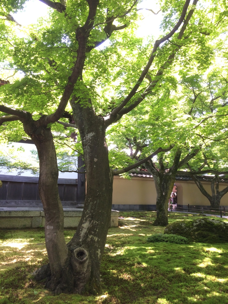 f:id:poponainai:20160529225320j:plain:w600