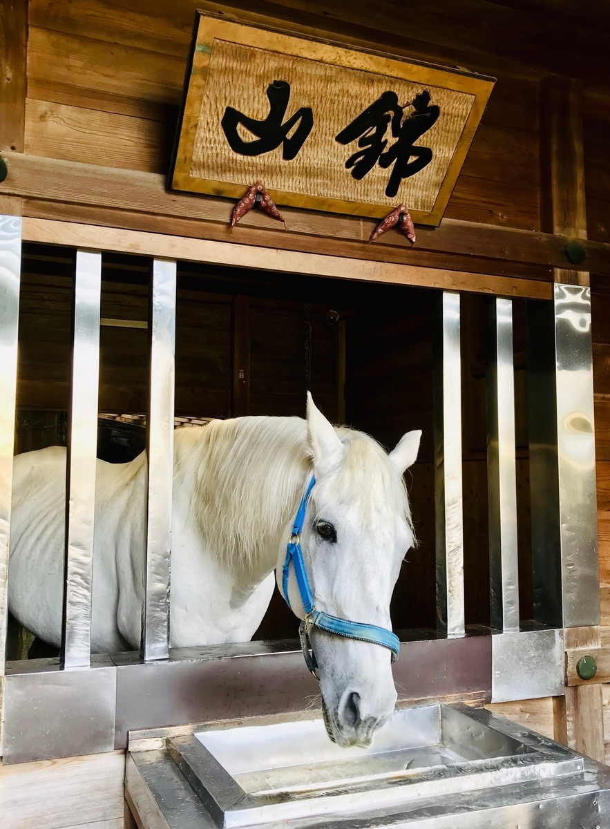 f:id:poponainai:20191022180702j:plain