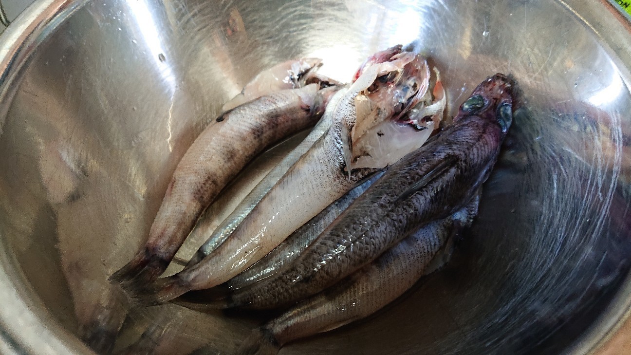 一番好きな魚 メヒカリの唐揚げ 飾り切り修業中 Popo S Kitchen