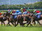 [20090628][競馬][阪神競馬場][阪神競馬場20090628][宝塚記念]