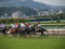 [20090927][競馬][阪神競馬場][阪神競馬場20090927][神戸新聞杯]