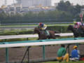 [20091011][競馬][京都競馬場][京都競馬場20091011][京都大賞典]