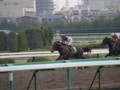 [20091011][競馬][京都競馬場][京都競馬場20091011][京都大賞典]