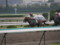 [20091011][競馬][京都競馬場][京都競馬場20091011][京都大賞典]