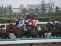 [20091003][競馬][阪神競馬場][阪神競馬場20091003][2009シリウスステークス]