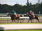 [20091011][競馬][京都競馬場][京都競馬場20091011][京都大賞典]