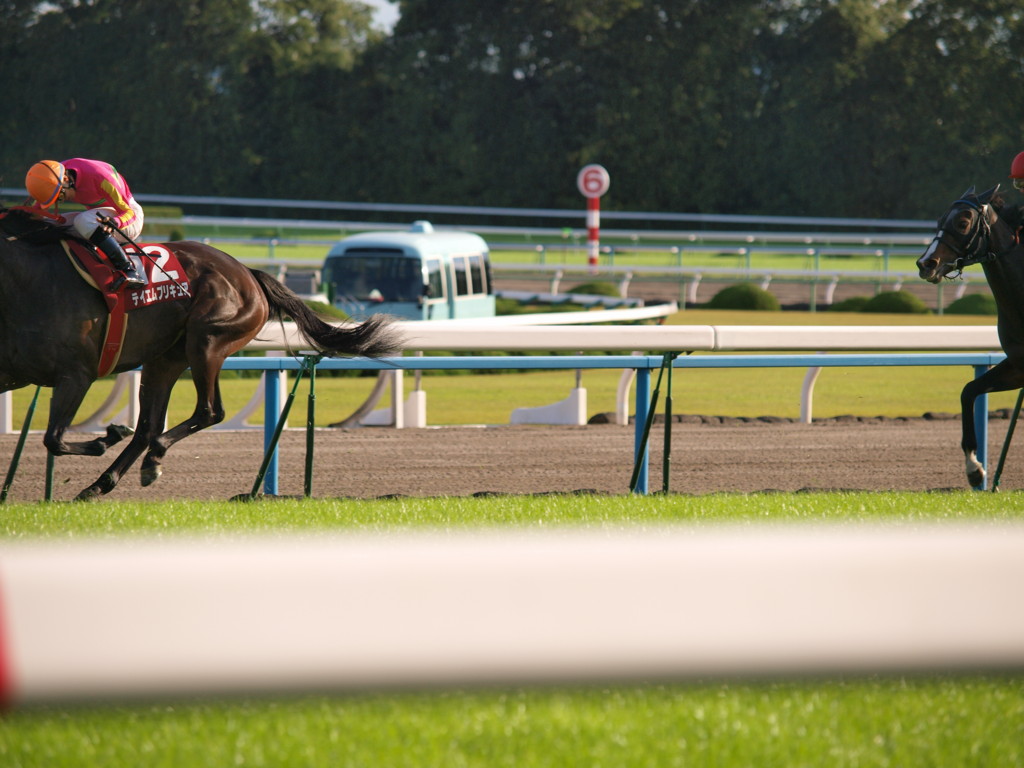 [20091011][競馬][京都競馬場][京都競馬場20091011][京都大賞典]