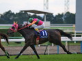 [20091115][競馬][京都競馬場][京都競馬場20091115][2009エリザベス女王杯]PB151026.JPG