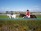 [20091206][競馬][阪神競馬場][阪神競馬場20091206]