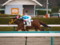 [20091227][競馬][阪神競馬場][阪神競馬場20091227]