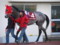 [20091231][競馬][園田競馬場][園田競馬場20091231][園田ジュニアカップ]