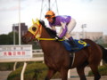 [20091231][競馬][園田競馬場][園田競馬場20091231]