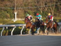 [20091231][競馬][園田競馬場][園田競馬場20091231]