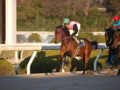 [20091231][競馬][園田競馬場][園田競馬場20091231]