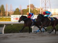 [20091231][競馬][園田競馬場][園田競馬場20091231]