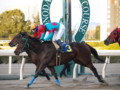 [20091231][競馬][園田競馬場][園田競馬場20091231]