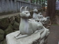 [20100103][愛知][豊川]