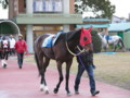 [20100103][競馬][名古屋競馬場][名古屋競馬場20100103]