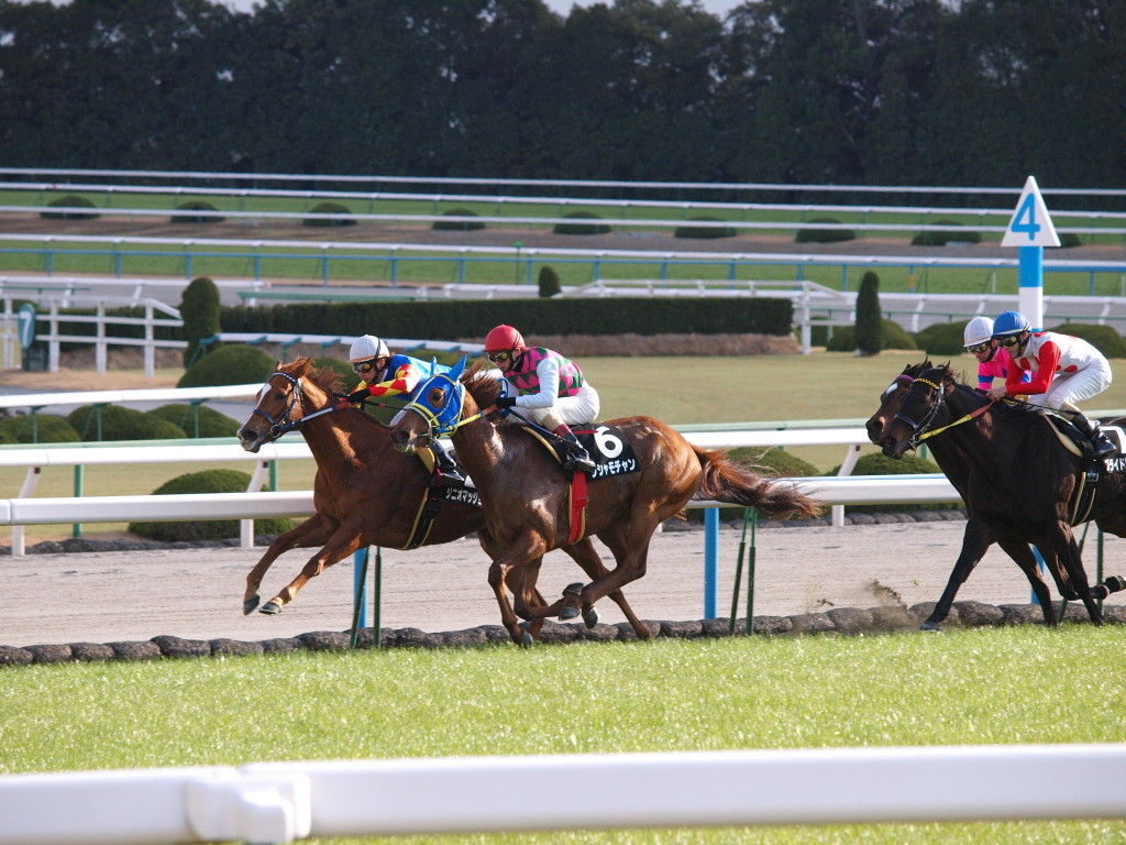 [20100110][競馬][京都競馬場][京都競馬場20100110][シシャモチャン]