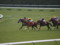 [20100117][競馬][京都競馬場][京都競馬場20100117][2010日経新春杯]