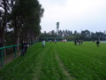 [20100328][中京競馬場][中京競馬場20100328]