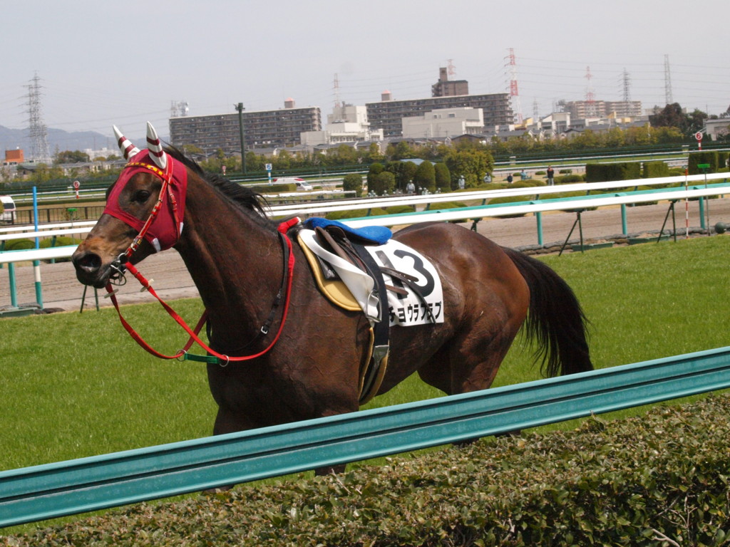 [20100404][競馬][阪神競馬場][阪神競馬場20100404]