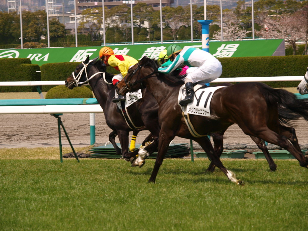 [20100404][競馬][阪神競馬場][阪神競馬場20100404]