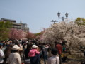 [20100418][大阪][キタ][造幣局]