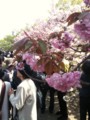 [20100418][大阪][キタ][造幣局]