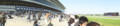 [20100501][競馬][京都競馬場][京都競馬場20100501]