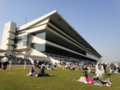 [20100501][競馬][京都競馬場][京都競馬場20100501]