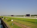 [20100501][競馬][京都競馬場][京都競馬場20100501]