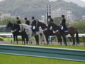 [20100627][阪神競馬場][阪神競馬場20100627][宝塚記念]