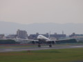 [20100812][兵庫][伊丹][大阪国際空港]