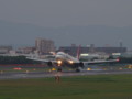 [20100812][兵庫][伊丹][大阪国際空港]