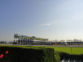 [20101120][競馬][京都競馬場][京都競馬場20101120]DSC00730.JPG