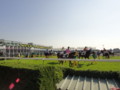 [20101120][競馬][京都競馬場][京都競馬場20101120]DSC00732.JPG