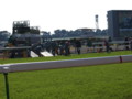 [20101120][競馬][京都競馬場][京都競馬場20101120]PB200014.JPG