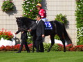 [20101120][競馬][京都競馬場][京都競馬場20101120][ローレルゲレイロ]